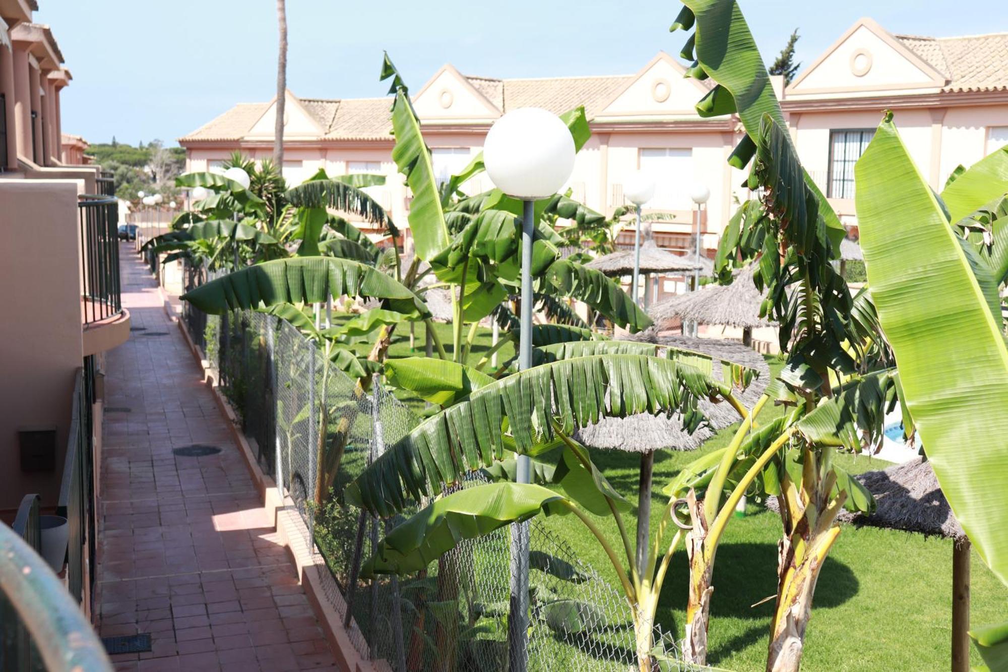 Playa La Barrosa, Alojamientoslola ชิกลานา เด ลา ฟรอนเตรา ภายนอก รูปภาพ